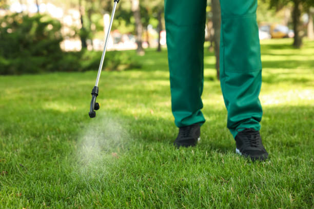 Best Termite Control Services  in Desoto, TX