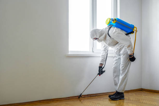 Best Affordable Pest Control Services  in Desoto, TX
