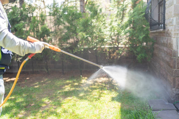 Best Rodent Control Near Me  in Desoto, TX